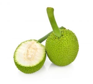 10 Surprising Great things about Breadfruit for Health breadfruit 0 1