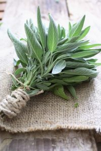 Plain-Air Party Decoration Ideas