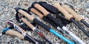 The Best Trekking Poles The Best Trekking Poles