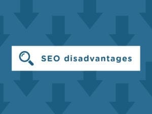 SEO – Disadvantage of Search Engine Optimization
