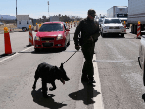 Border protection agents make largest fentanyl bust in U.S. history Border protection agents make largest fentanyl bust in U.S. history