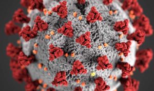 FDA Okays Historic Blood Treatment for COVID; Clinical Trials to Use Antibodies From Recovered Patients