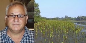 What Can One Person Do in 10 Years? This Man Planted 152 Million Mangrove Trees