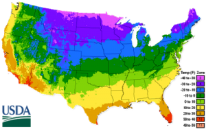 As Weather Gets Warmer, Here Are 6 Tips to Save Water on Your Lawn and Gardens As Weather Gets Warmer, Here Are 6 Tips to Save Water on Your Lawn and Gardens