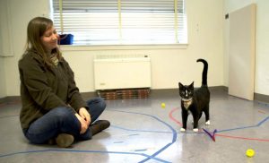 Myth-Busting Study Says Cats Form Emotional Attachments to Their Owners Just Like Dogs and Babies Myth-Busting Study Says Cats Form Emotional Attachments to Their Owners Just Like Dogs and Babies