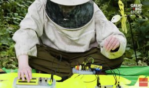 Beekeeper Makes Electronic Music Recorded From His Hives to Inspire Love For Pollinator Populations Beekeeper Makes Electronic Music Recorded From His Hives to Inspire Love For Pollinator Populations