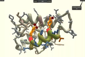 Video Gamers Join the Race to Produce COVID-19 Drugs With Innovative Citizen-Science Project Video Gamers Join the Race to Produce COVID-19 Drugs With Innovative Citizen-Science Project