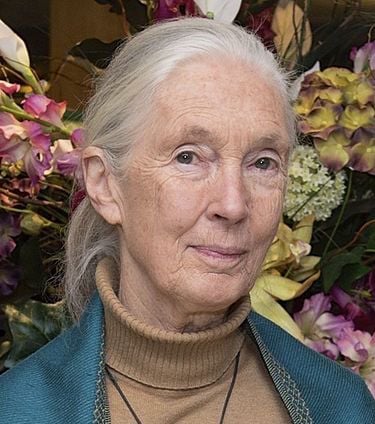 Jane Goodall 2015 pubdomain sm