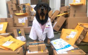 This Therapy ‘Dogtor’ is Delivering Thousands of ‘Hero Healing Kits’ to Hospital Workers on the Frontlines This Therapy ‘Dogtor’ is Delivering Thousands of ‘Hero Healing Kits’ to Hospital Workers on the Frontlines