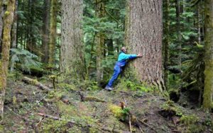 Stuck At Home on 50th Anniversary of Earth Day? Here’s How to Connect with Nature in Isolation Stuck At Home on 50th Anniversary of Earth Day? Here’s How to Connect with Nature in Isolation