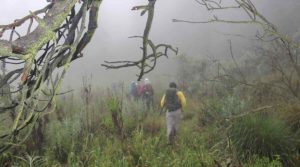 Stressed? This Study Says You Simply Need a 20-Minute ‘Nature Pill’ Stressed? This Study Says You Simply Need a 20-Minute ‘Nature Pill’