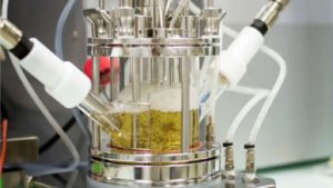 Newly-Developed Enzyme That Breaks Down Plastic Bottles in Hours is On Track to Change the Recycling Game Newly-Developed Enzyme That Breaks Down Plastic Bottles in Hours is On Track to Change the Recycling Game