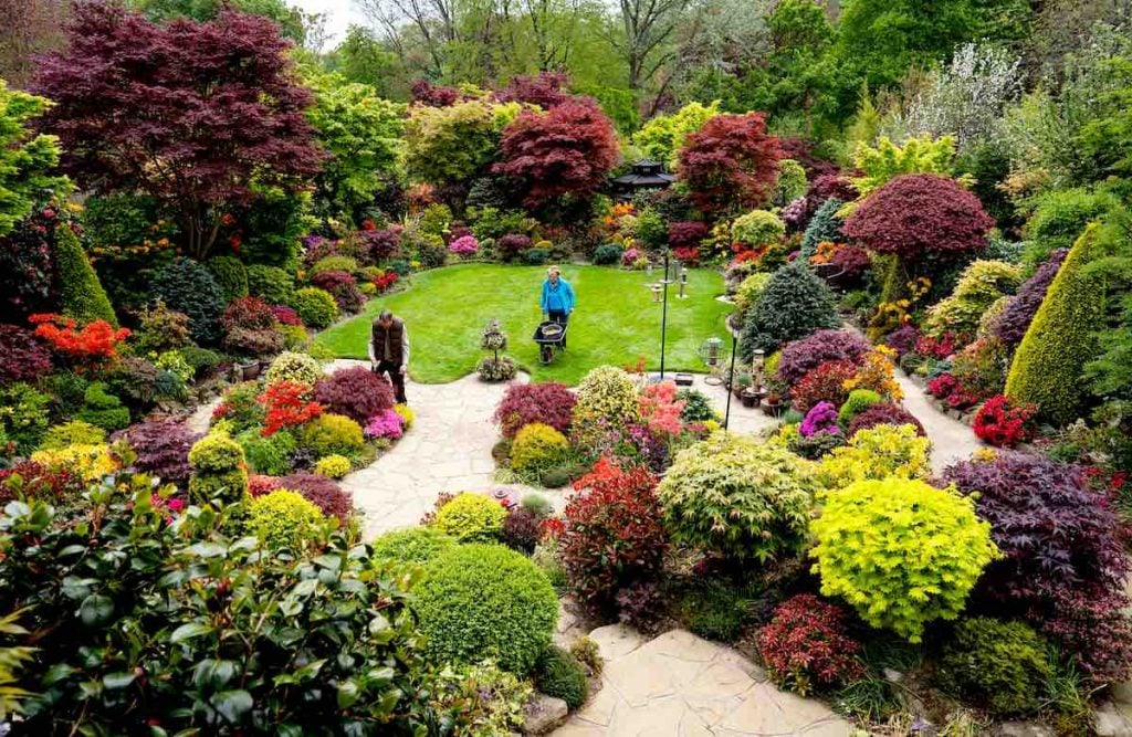 Best Garden in Britain wide from patio SWNS 1024x667 1