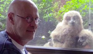 Belgian Man Strikes Up Friendship With Owl Family After They Discover Mutual Love of Television Belgian Man Strikes Up Friendship With Owl Family After They Discover Mutual Love of Television