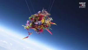 Watch Artist’s Enchanting Video of Flowers Floating 18 Miles Above the Earth Watch Artist’s Enchanting Video of Flowers Floating 18 Miles Above the Earth
