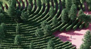 Green Maze Design for City Parks Helps People Maintain Physical Distancing During Pandemic Green Maze Design for City Parks Helps People Maintain Physical Distancing During Pandemic