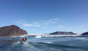 Scientists Finally Manage to Record the Strange Sounds of the ‘Arctic Unicorn’—the Elusive Narwhal