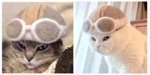 Japanese Photographer Poses Cats Wearing Hats Made of Their Own Fur