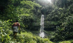 Indigenous Group in Brazil Wins Decades-Long Battle Against Illegal Loggers in the Amazon