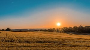 64% of Americans Have Experienced Transformative ‘Eco Wake-Up Calls’ During COVID Crisis morning sun meadow crop field pubdomain