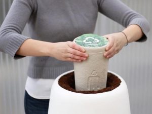 World’s First ‘Bios Park’ Lets Us Bury Cremated Remains of Our Loved Ones So They Grow into Trees World’s First ‘Bios Park’ Lets Us Bury Cremated Remains of Our Loved Ones So They Grow into Trees