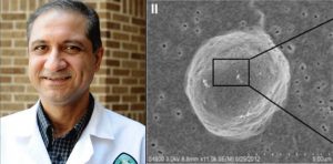 Tulane Researchers Find a Switch to Turn Off Aggressive Form of Breast Cancer Growth
