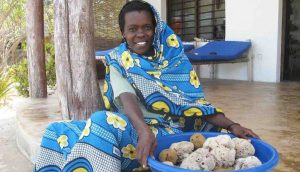 Unemployed Single Women Are Saving Fish and Making Money by Farming Sea Sponges Unemployed Single Women Are Saving Fish and Making Money by Farming Sea Sponges