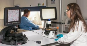 ‘Overwhelming Efficacy’ Found in New Lung Cancer Drug – Yale PhD Calls it ‘Transformative’ ‘Overwhelming Efficacy’ Found in New Lung Cancer Drug – Yale PhD Calls it ‘Transformative’