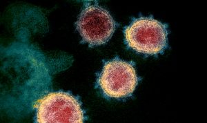 Different Studies Found Killer T-Cells and Antibodies that Neutralize COVID-19