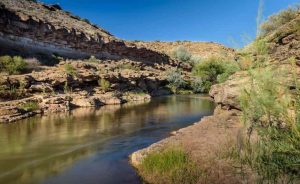 River Running Through Zion National Park Will Be Protected Forever Thanks to the Nature Conservancy River Running Through Zion National Park Will Be Protected Forever Thanks to the Nature Conservancy