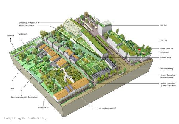 Transforming Cities: The Joy of Sustainable Urban Design for a Greener Future!