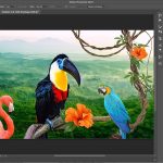 Unleash Your Inner Artist: The Best Digital Painting Software to Elevate Your Creativity! Unleash Your Inner Artist: The Best Digital Painting Software to Elevate Your Creativity!