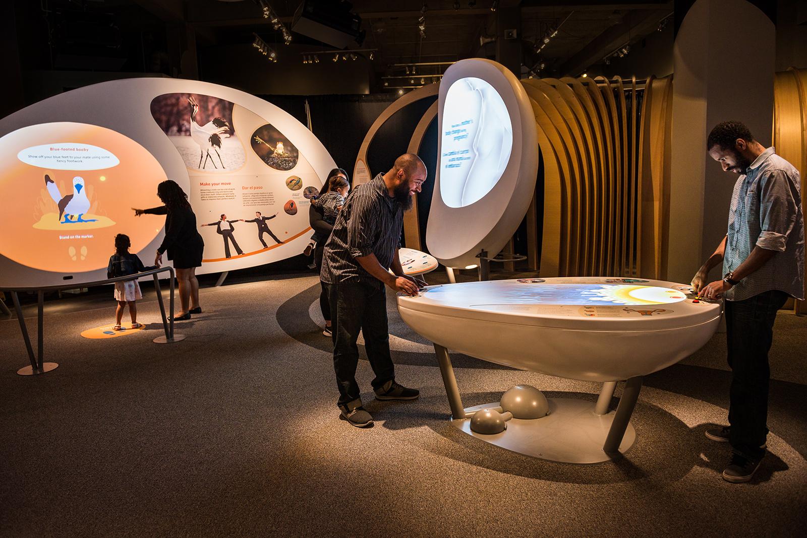 Discover the Joy of Learning: 10 Innovative Tips for Designing Engaging Interactive Exhibits interactive exhibits