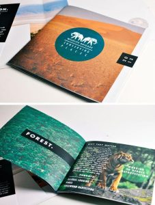 Unleash Your Imagination: 10 Inspiring Ideas for Creative Print Brochures That Captivate and Engage!