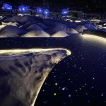 Explore the Magic of Interactive Digital Installations: Transforming Spaces into Engaging Experiences!
