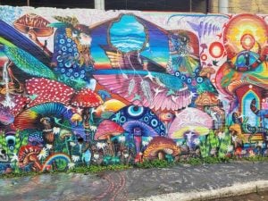 Vibrant Voices on the Walls: Exploring the Colorful World of Street Art and Graffiti Culture